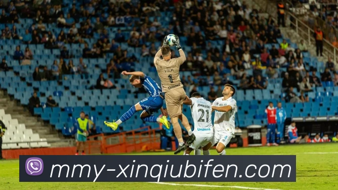 新球体育中心品牌故事